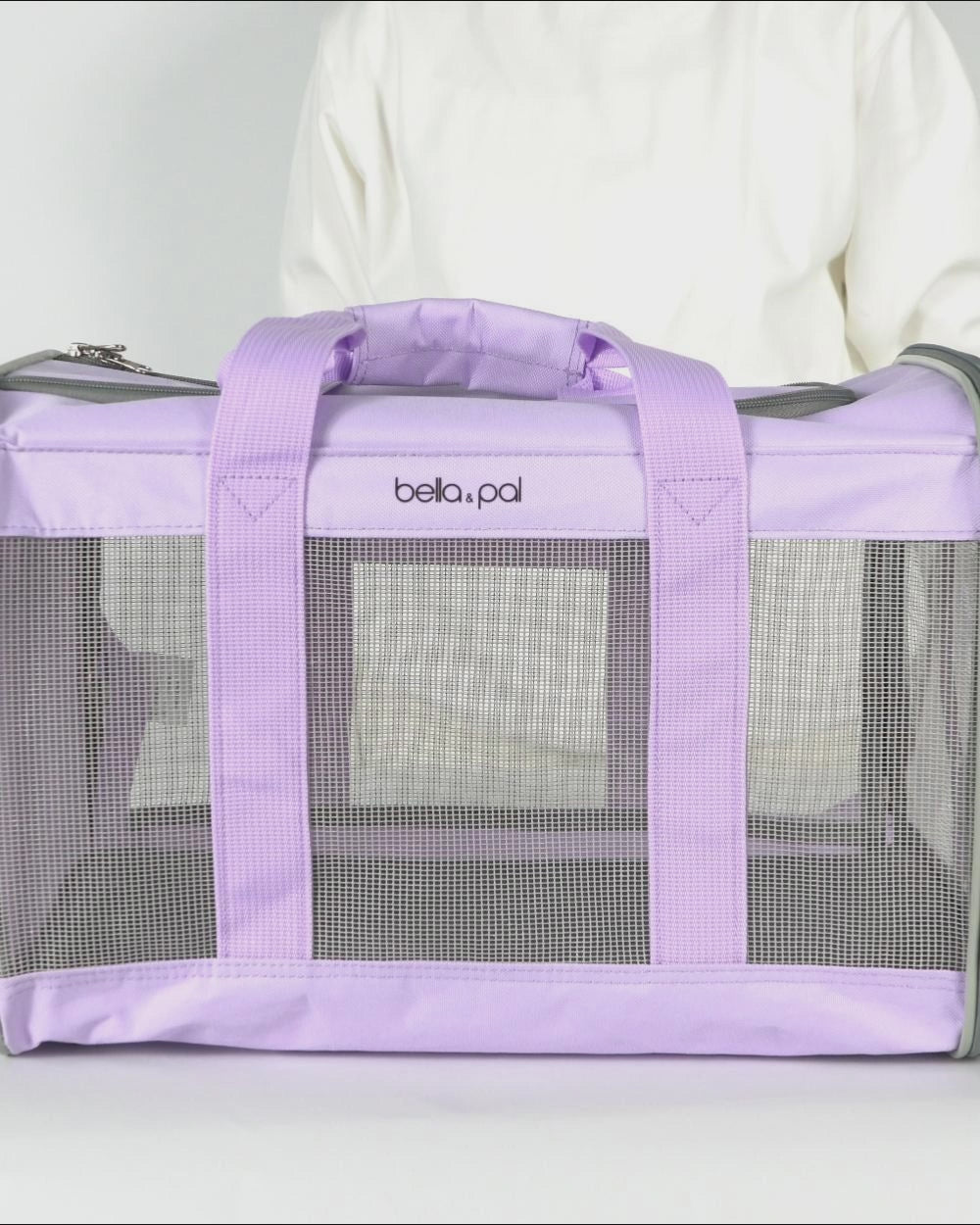 Essential Puppy Starter Kit- Lavender (3 Pack)