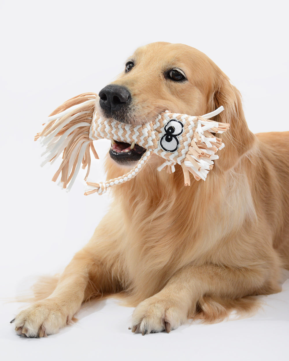Cartoon Design Squeaky Chew Dog Toy - Brown