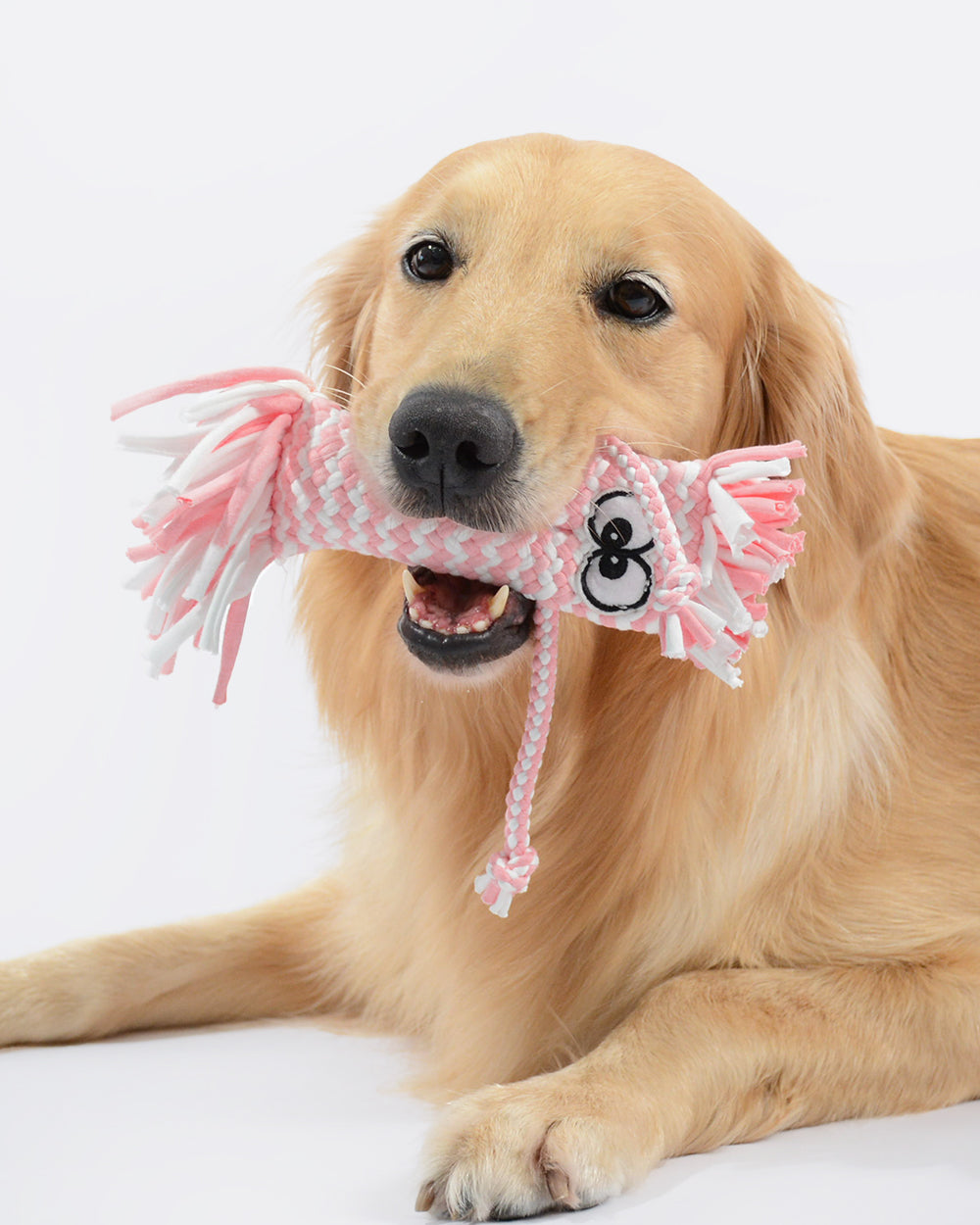 Cartoon Design Squeaky Chew Dog Toy - Pink