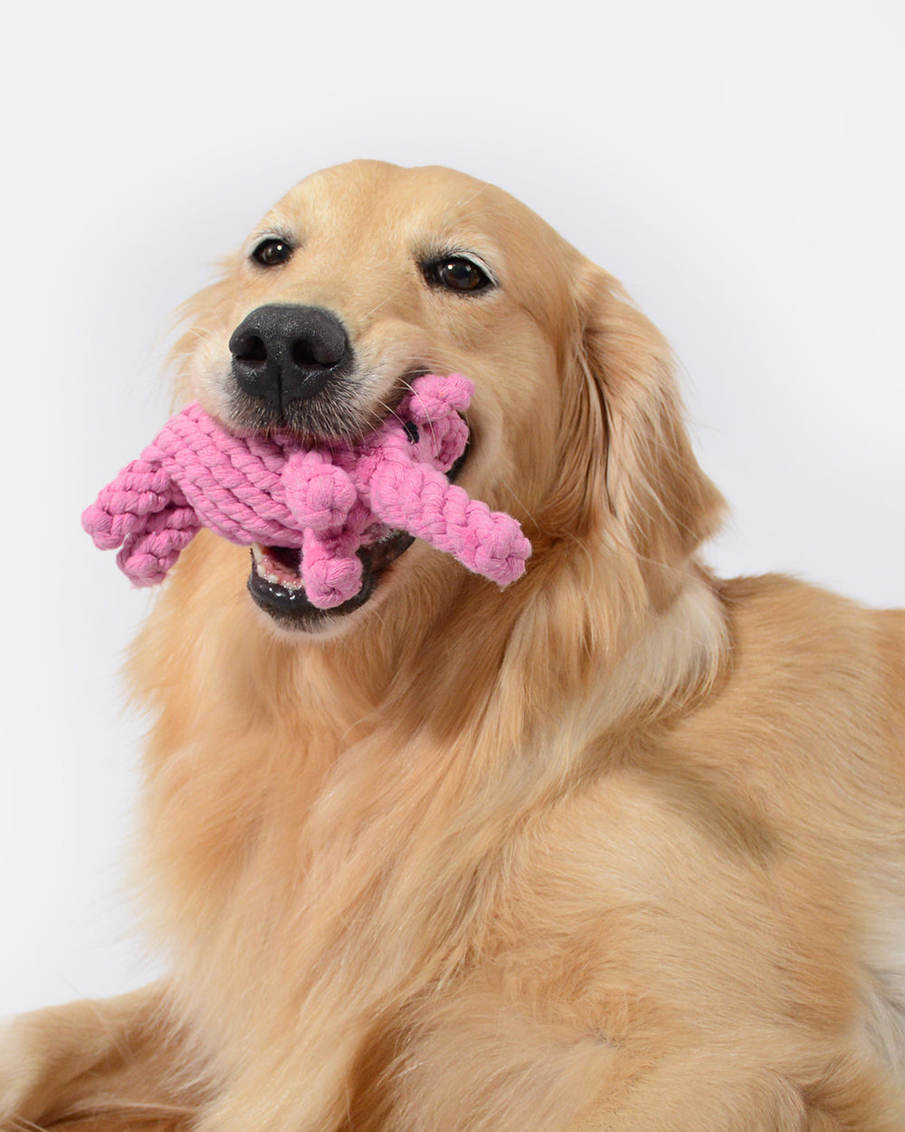 Animal Design Cotton Rope Dog Toy - Elephant