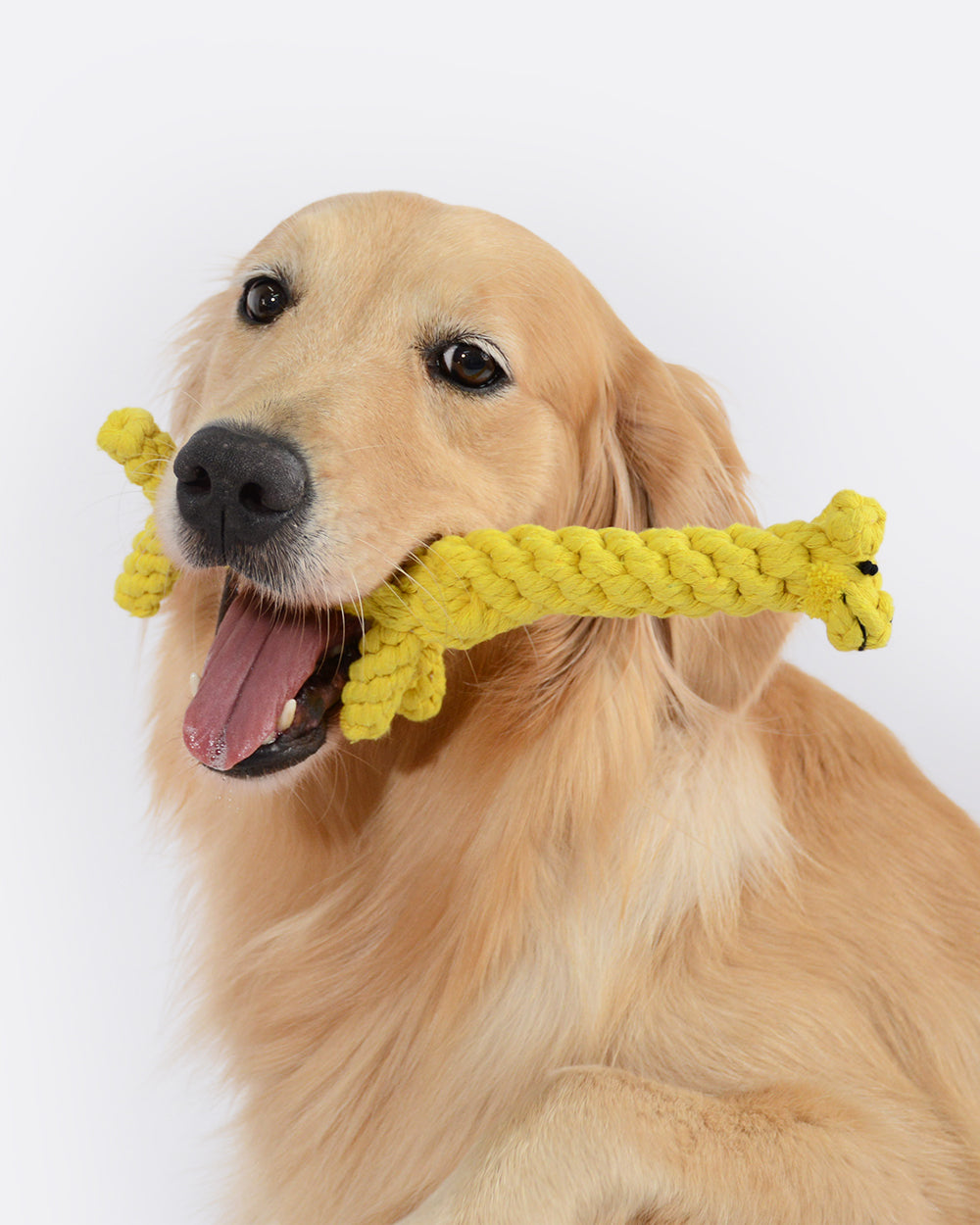 Animal Design Cotton Rope Dog Toy