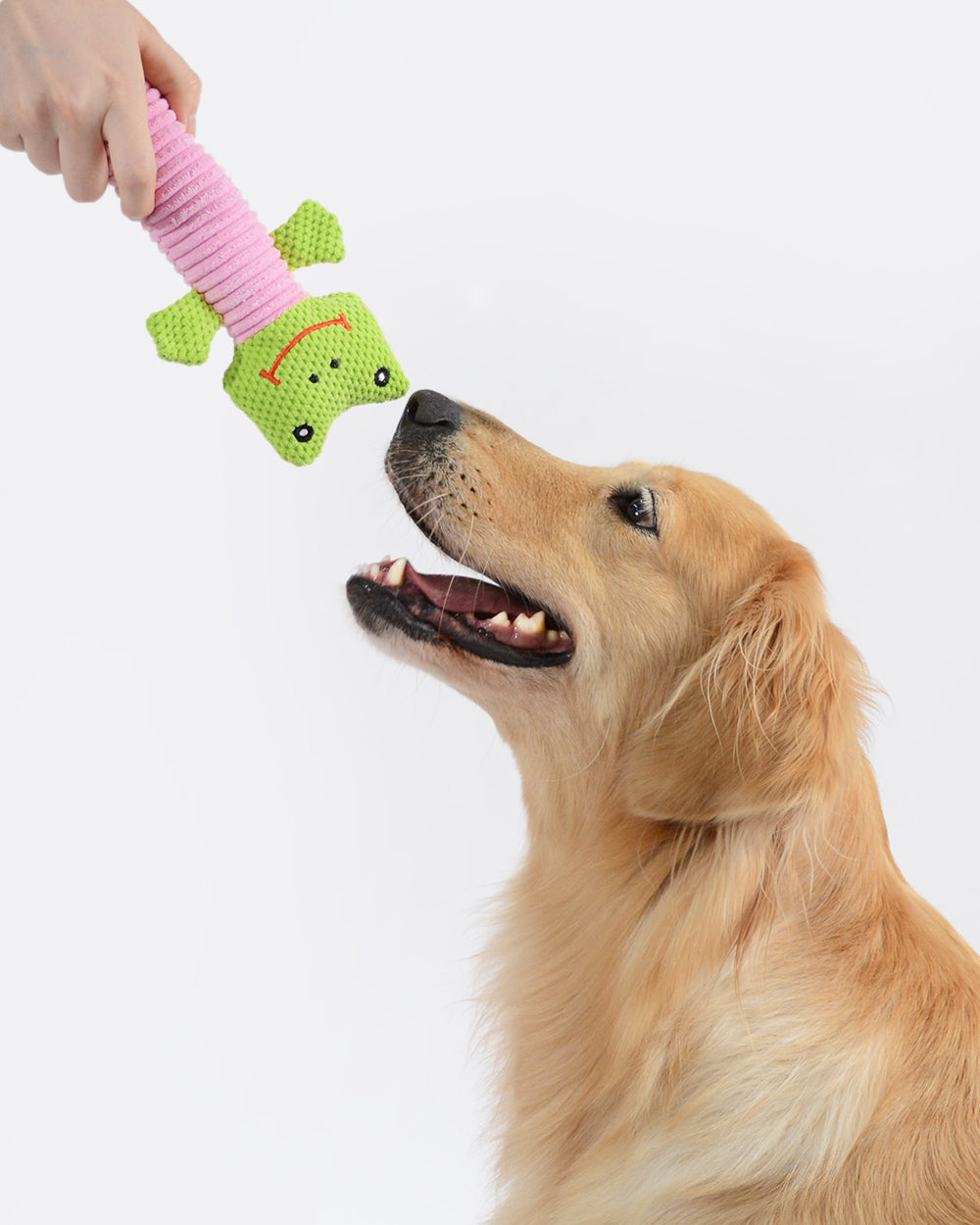 Plush Squeaky Dog Toy - Frog