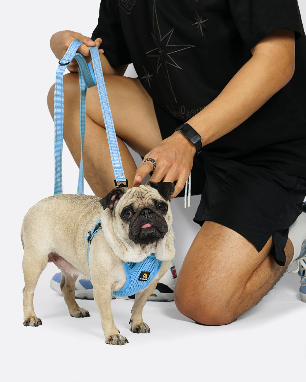OxyMesh Flexi Step-in Harness and Leash Set - Sky Blue