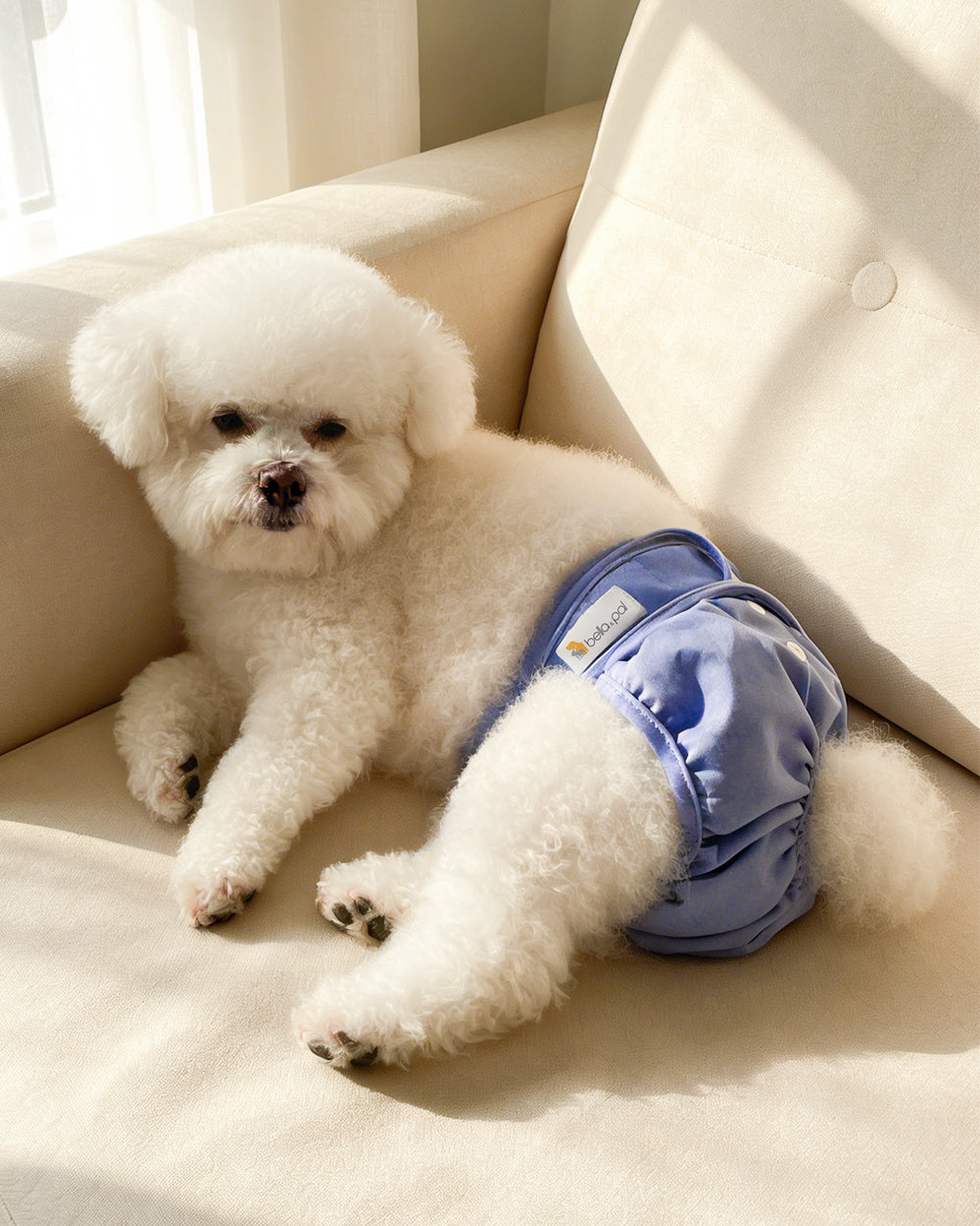 洗えるメス犬用おむつ - Berry Blue