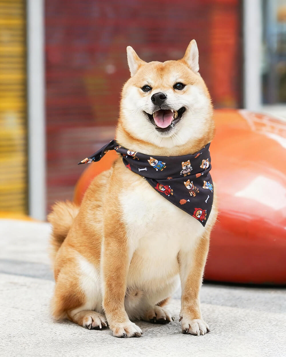 Bella & Pal × PJai & Friends Triangle Dog Bandana - Doki Shiba
