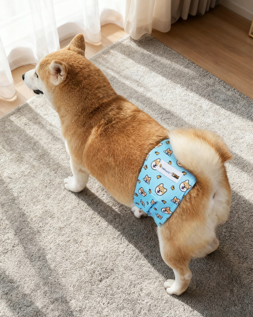 Bella & Pal × PJai & Friends Washable Male Dog Belly Band Set - Puffy Friends