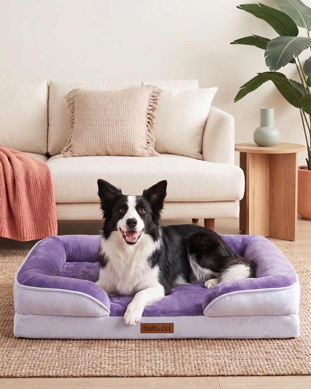 整形外科犬用ベッドカバー - Lavender Luxe