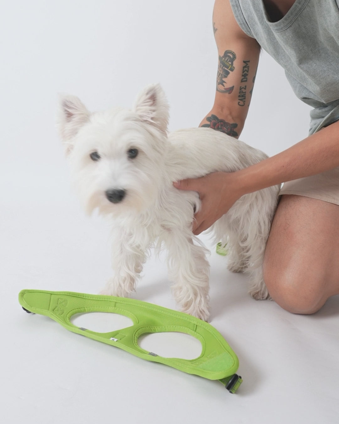 A video showing how to wear the reflective step-in dog harness and leash set in green and introduces some features of the product.