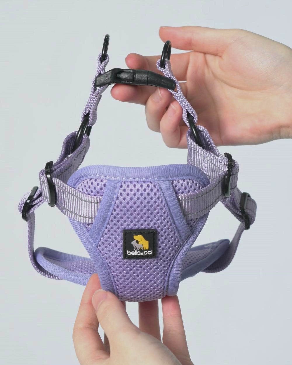 OxyMesh Flexi Step-in Harness and Leash Set - Lavender