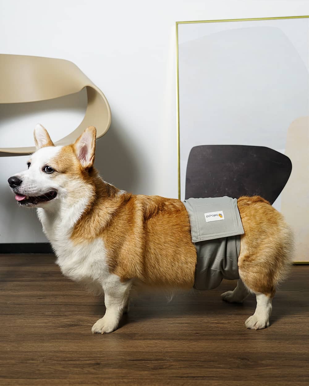 洗えるオス犬用腹帯 - Gentle Grey