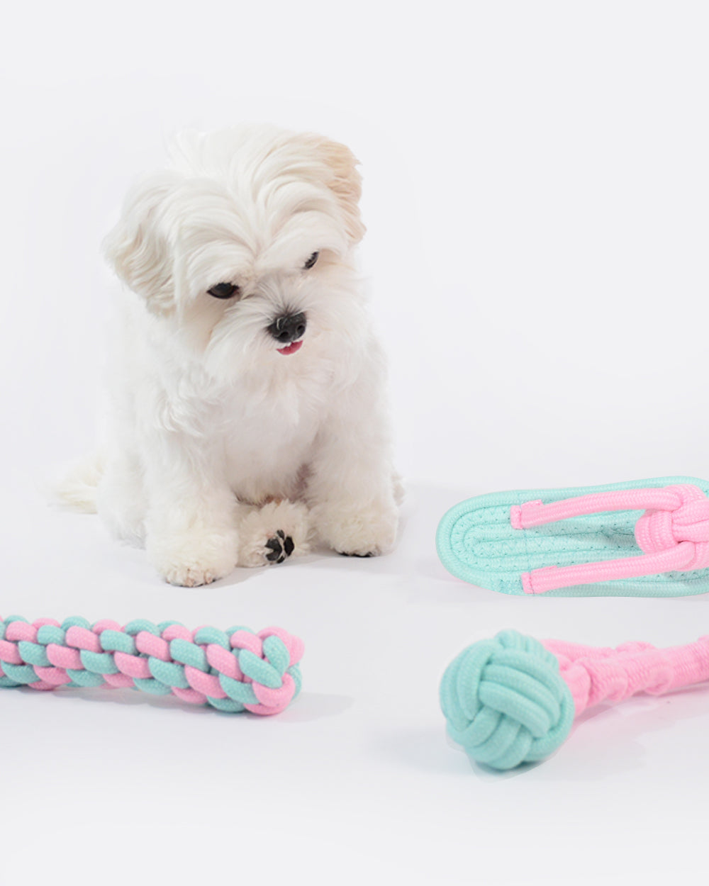 Cotton Dog Chew Toy Set - 3 pack