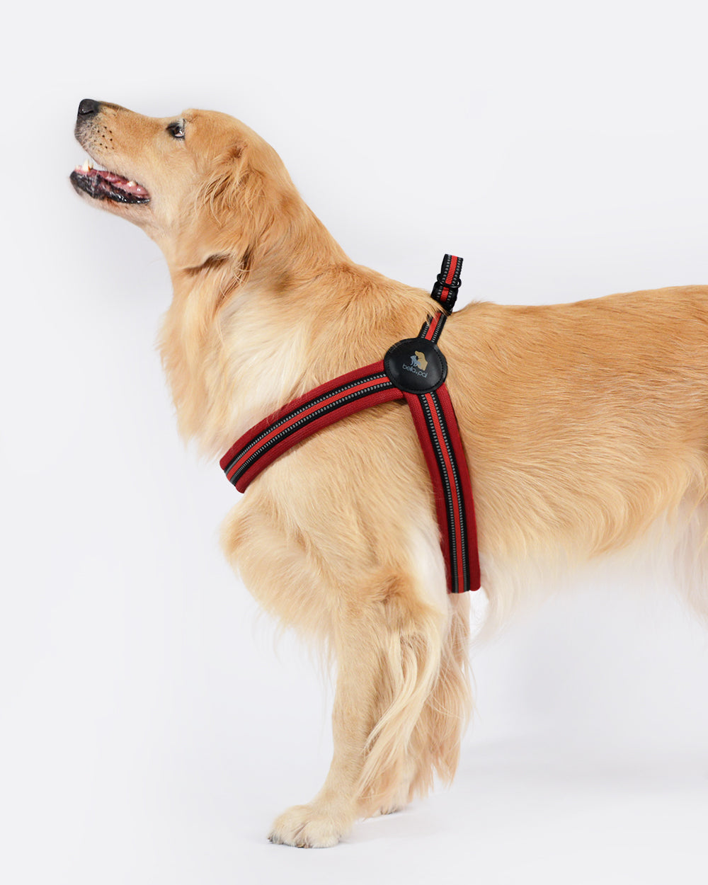 Simply Go Step-in Dog Harness - Chili Red