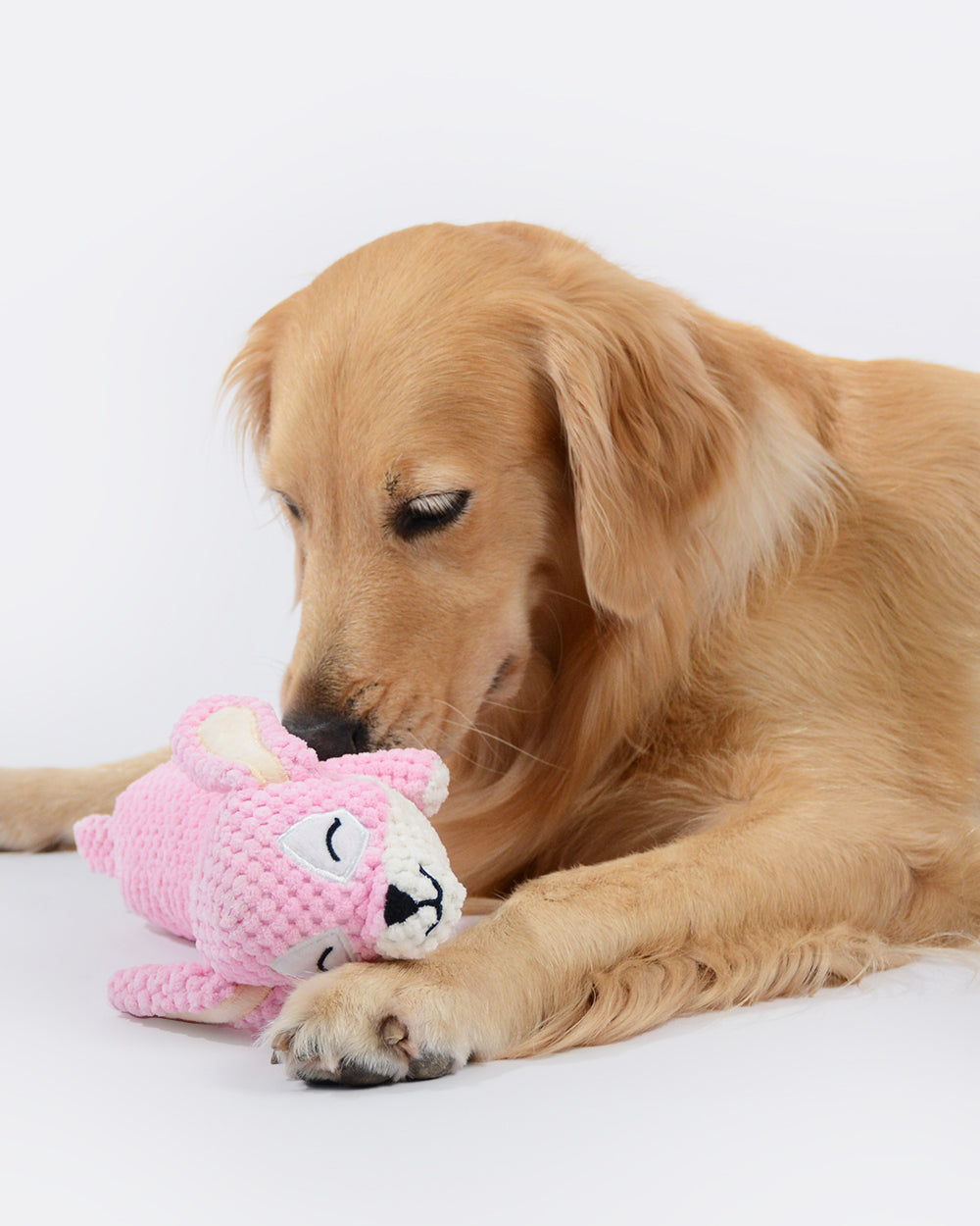 Plush Squeaky Dog Toy – Puppy